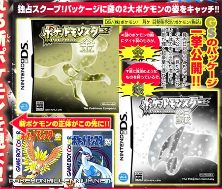 Fake Pokemon Gold Silver Remake for Nintendo DS Cover